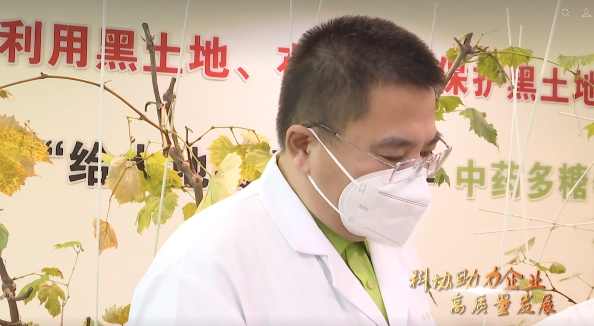 中药多糖钙