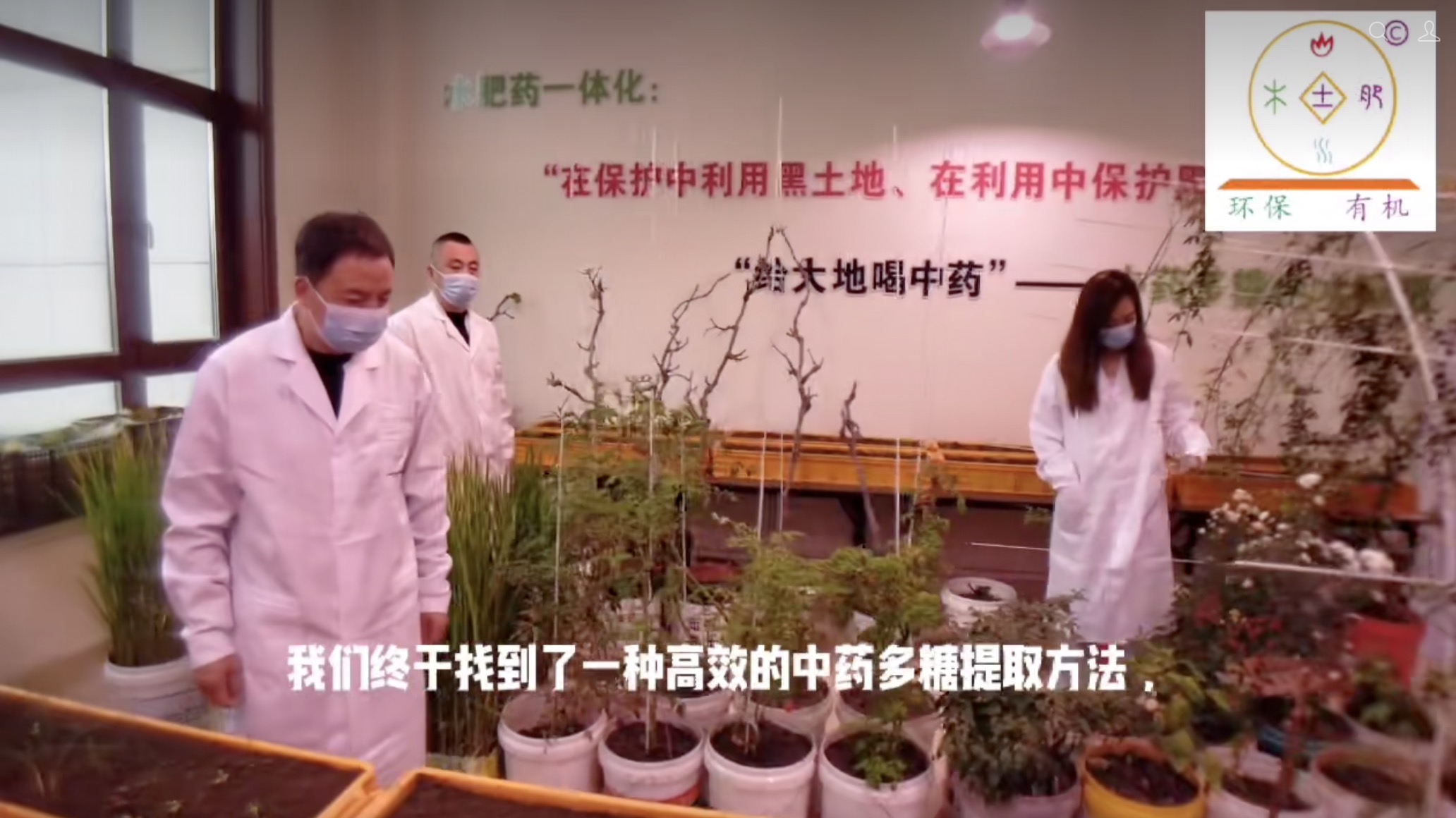 中药多糖钙