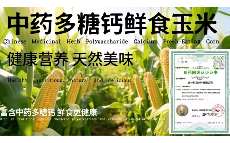 玉米案例