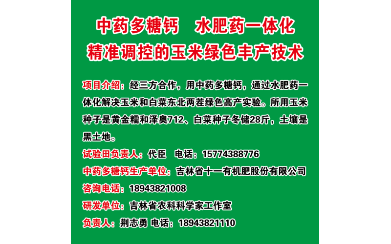 大粮玉米案例