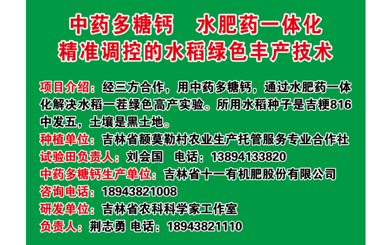 水稻案例