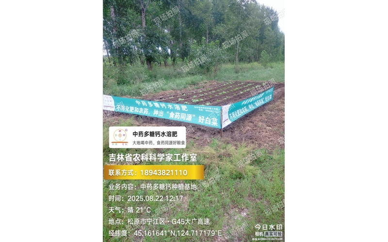 2025年&ldquo;食药同源&rdquo;白菜案例